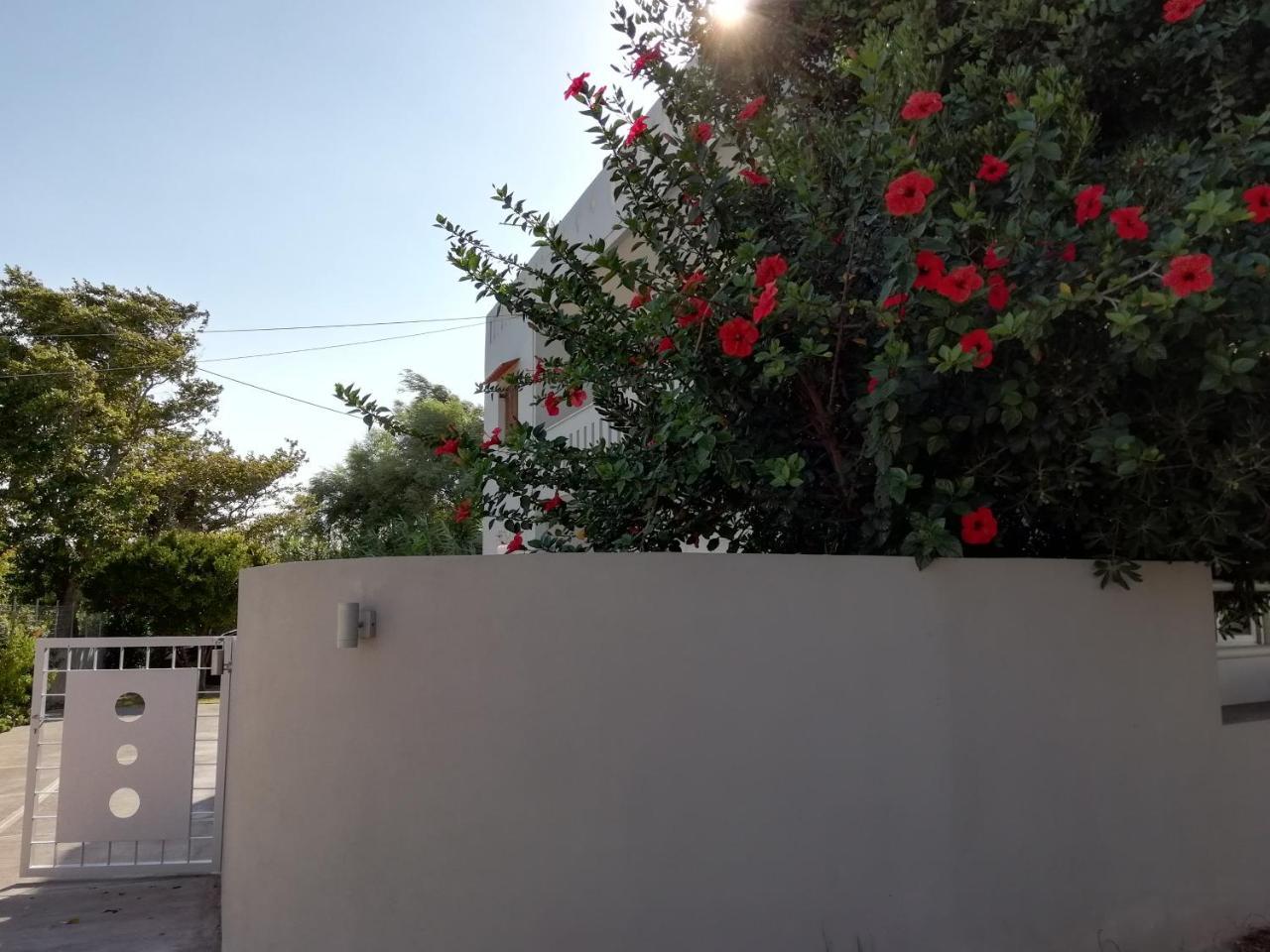 Dimitris' & Valentina'S Home Plakiás Eksteriør bilde