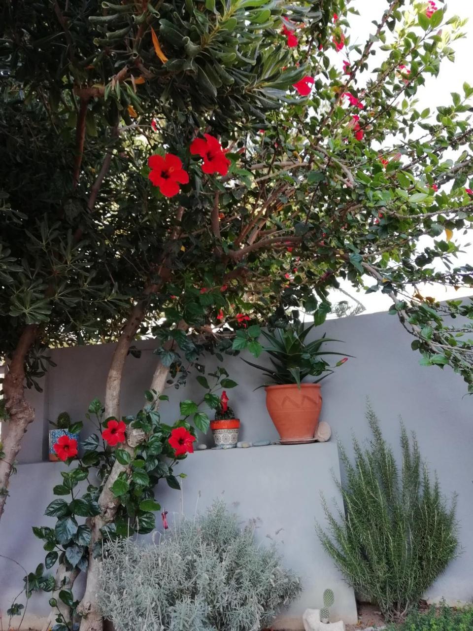 Dimitris' & Valentina'S Home Plakiás Eksteriør bilde